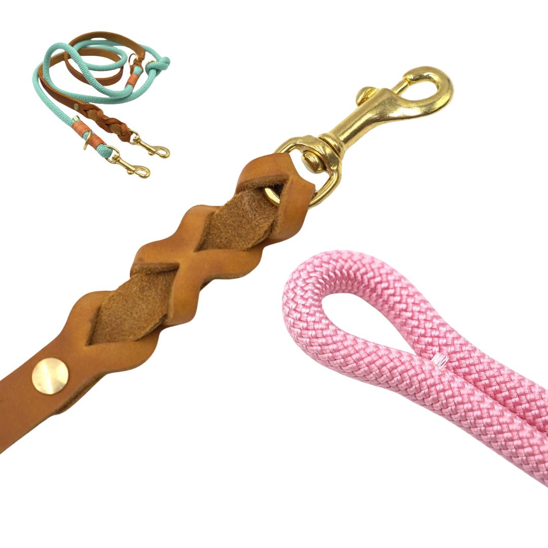 Tauleine V1 +31,00 €