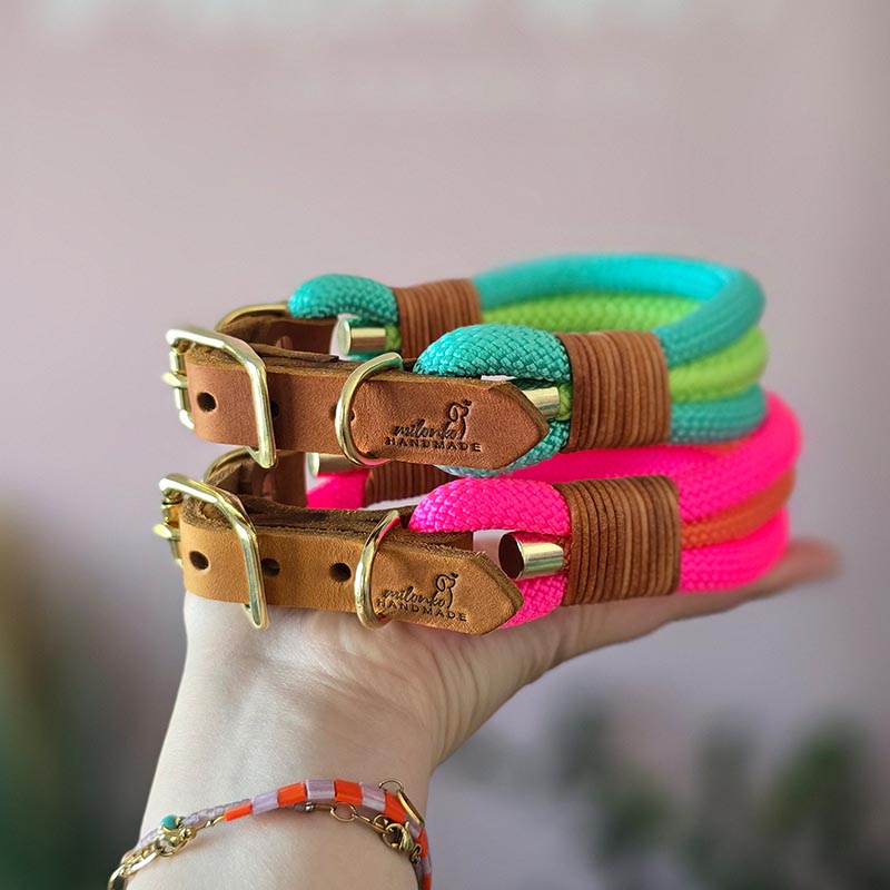 Neon Tauhalsband