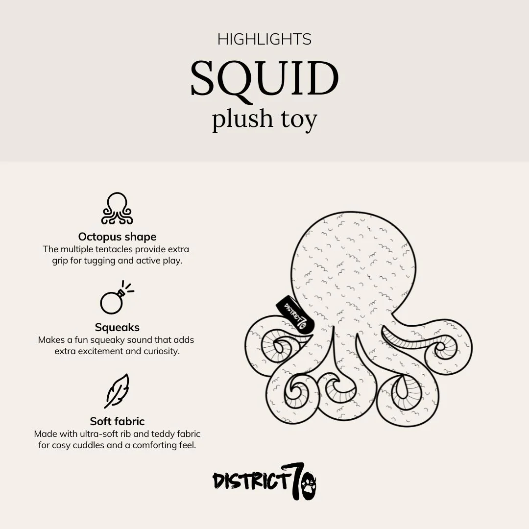 SQUID Krake