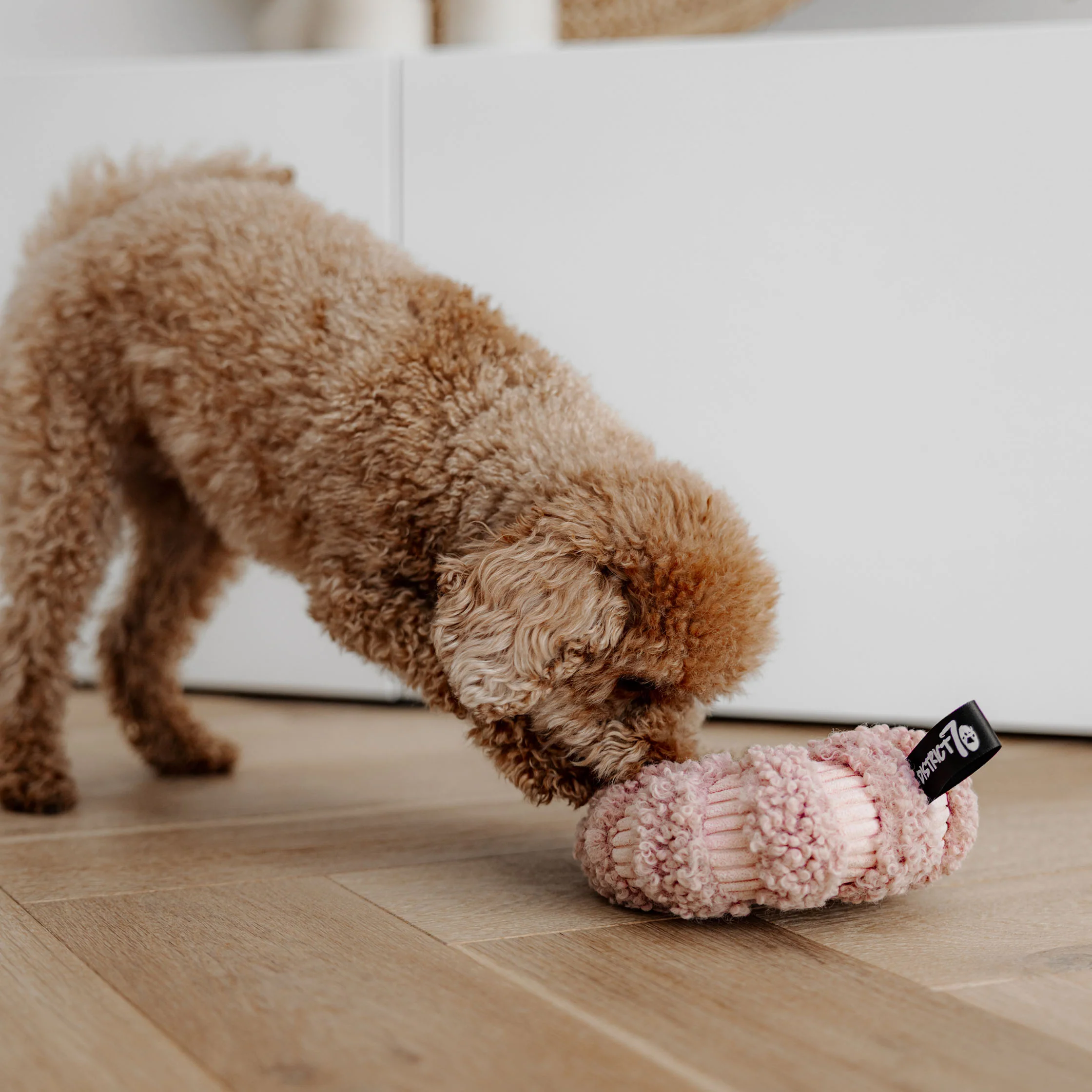 DAISY Schnüffel-Donut