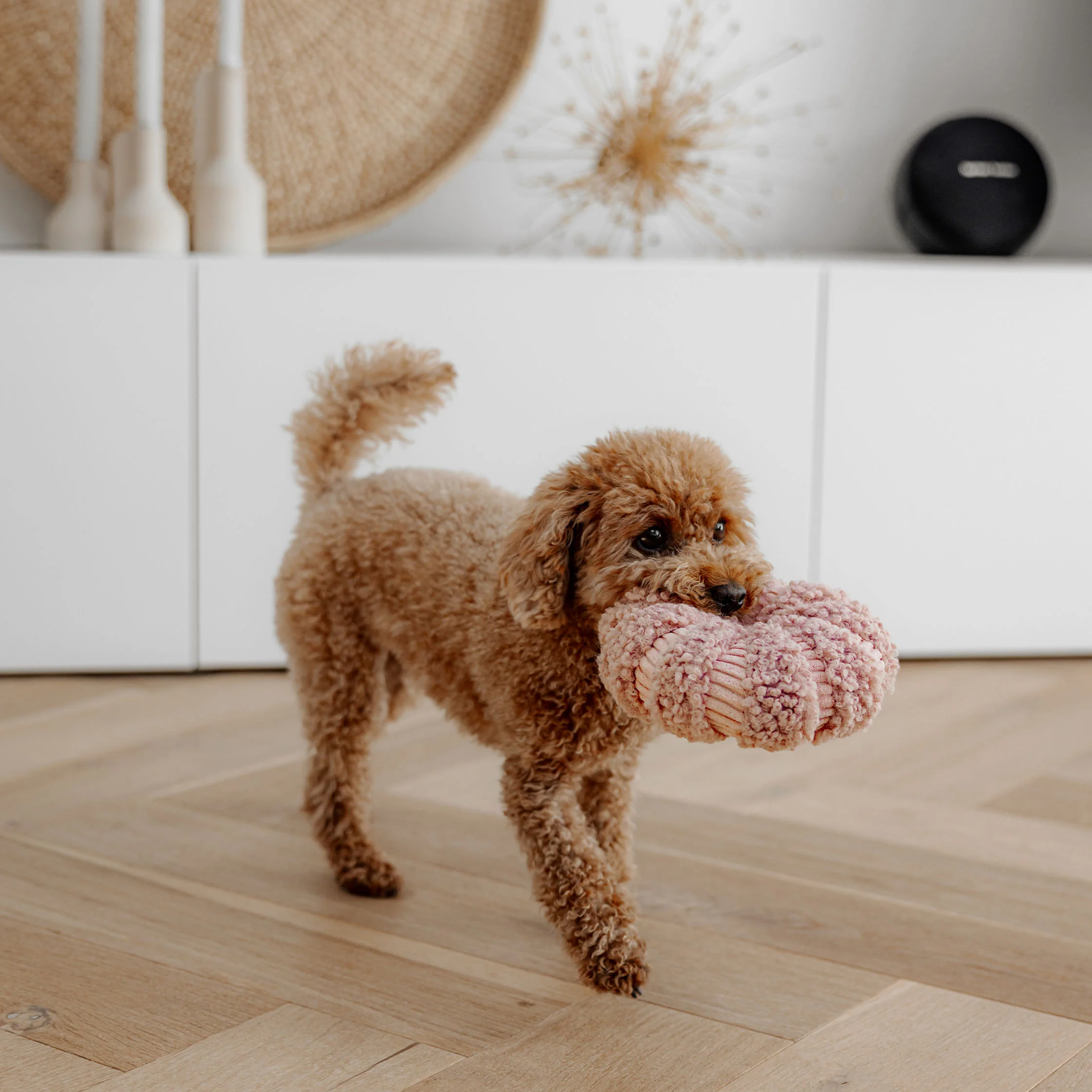 DAISY Schnüffel-Donut