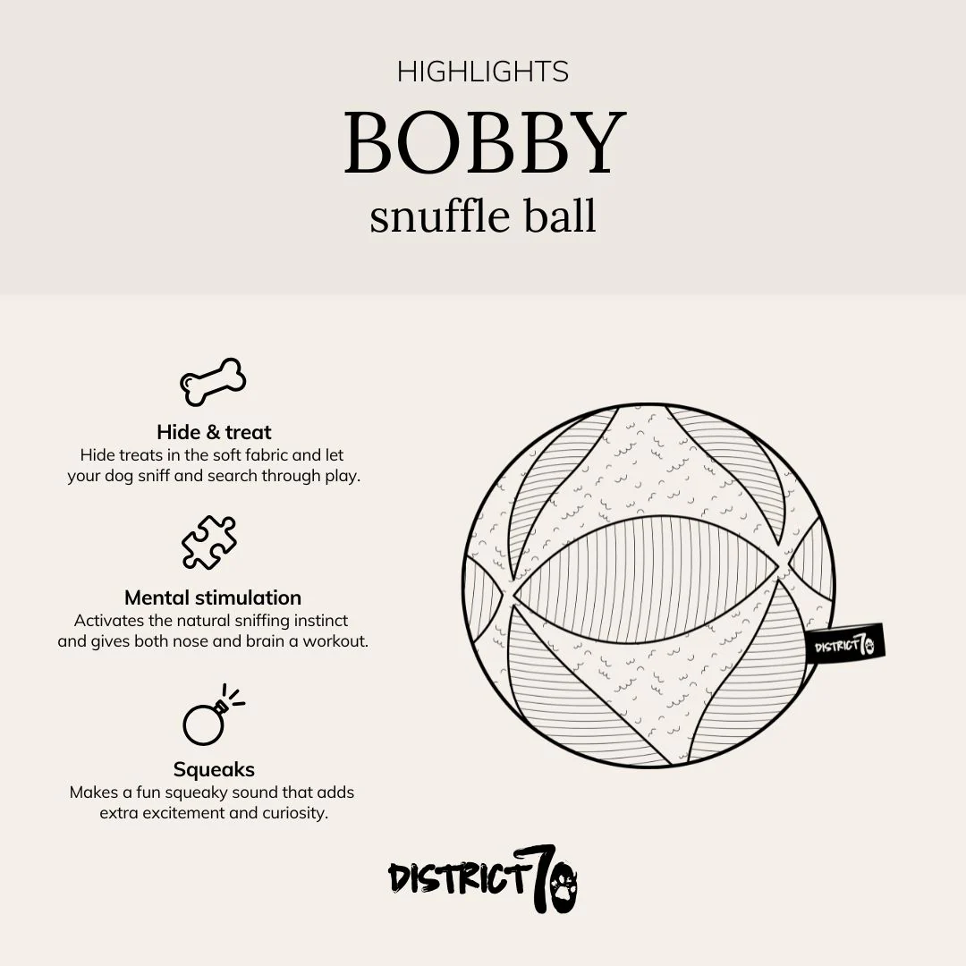 BOBBY Schnüffelball