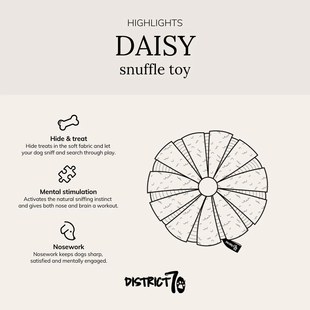 DAISY Schnüffel-Donut